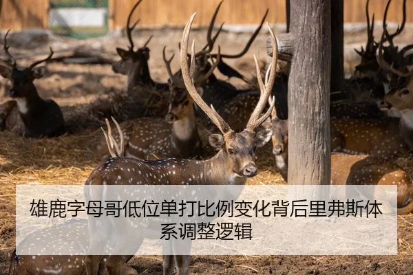雄鹿字母哥低位单打比例变化背后里弗斯体系调整逻辑
