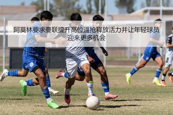 img_1784029204657_399_1_142.jpg